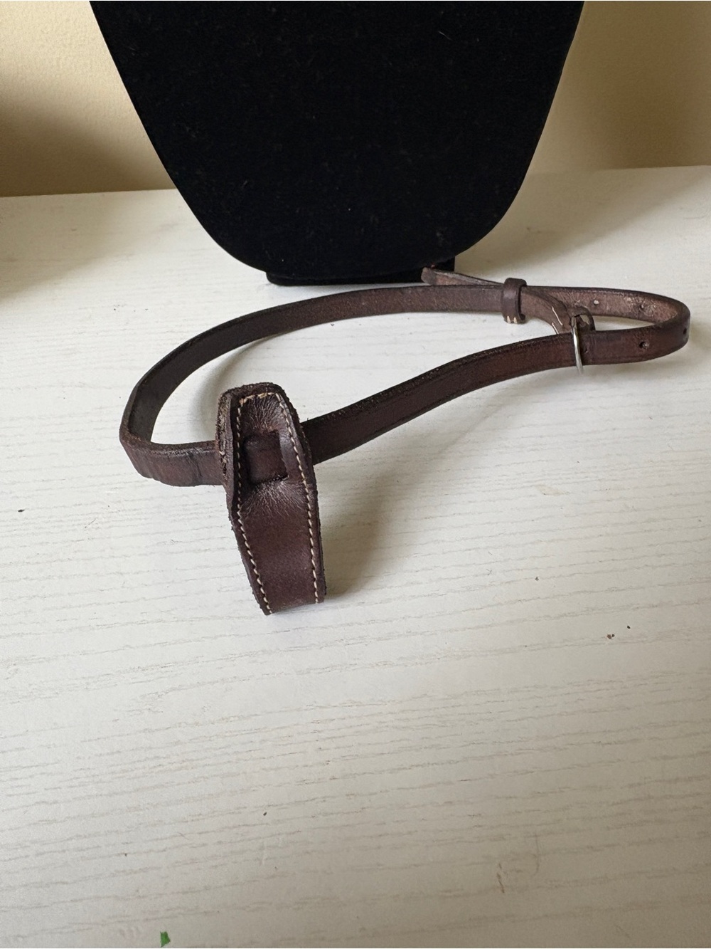 Flash Nose Band for Equine Equestrian